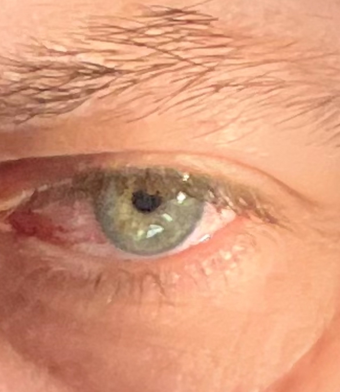 Profil de Xavier-pierre